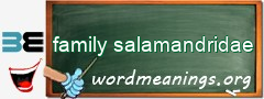 WordMeaning blackboard for family salamandridae